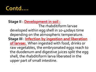 Stage II : Development in soil :
The rhabditiform larvae
developed within egg shell in 10-40days time
depending on the atmospheric temperature.
Stage III : Infection by ingestion and liberation
of larvae: When ingested with food, drinks or
raw vegetables, the embryonated eggs reach to
the duodenum and digestive juices split the egg
shell, the rhabditiform larva liberated in the
upper part of small intestine.
 