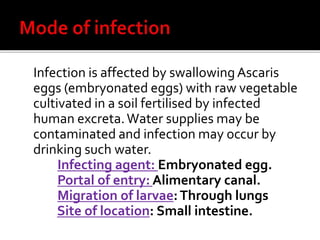 Infection is affected by swallowingAscaris
eggs (embryonated eggs) with raw vegetable
cultivated in a soil fertilised by infected
human excreta.Water supplies may be
contaminated and infection may occur by
drinking such water.
Infecting agent: Embryonated egg.
Portal of entry: Alimentary canal.
Migration of larvae:Through lungs
Site of location: Small intestine.
 