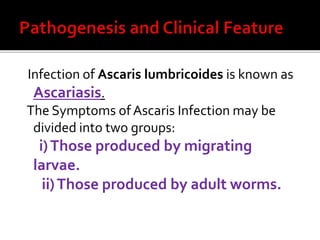 Infection of Ascaris lumbricoides is known as
Ascariasis.
The Symptoms of Ascaris Infection may be
divided into two groups:
i)Those produced by migrating
larvae.
ii)Those produced by adult worms.
 