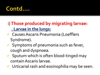 i)Those produced by migrating larvae:
. Larvae in the lungs:
 Causes Ascaris Pneumonia (Loefflers
Syndrome).
 Symptoms of pneumonia such as fever,
cough and dyspnoea.
 Sputum which is often blood-tinged may
containAscaris larvae.
 Urticarial rash and eosinophilia may be seen.
 