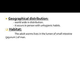 Geographical distribution:
- world wide in distribution.
- it occurs in person with unhygienic habits.
 Habitat:
The adult worms lives in the lumen of small intestine
(jejunum ) of man.
 