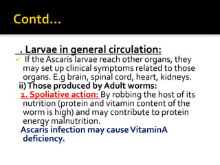 . Larvae in general circulation:
 If the Ascaris larvae reach other organs, they
may set up clinical symptoms related to those
organs. E.g brain, spinal cord, heart, kidneys.
ii)Those produced by Adult worms:
1. Spoliative action: By robbing the host of its
nutrition (protein and vitamin content of the
worm is high) and may contribute to protein
energy malnutrition.
Ascaris infection may causeVitaminA
deficiency.
 