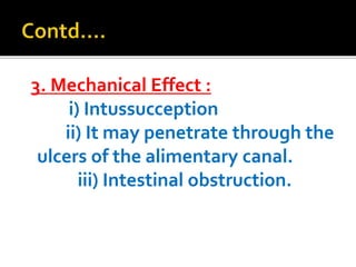 3. Mechanical Effect :
i) Intussucception
ii) It may penetrate through the
ulcers of the alimentary canal.
iii) Intestinal obstruction.
 