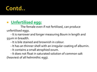  Unfertilised egg:
The female even if not fertilised, can produce
unfertilised eggs.
- It is narrower and longer measuring 80um in length and
55um in breadth.
- It is bile stained and brownish in colour.
- It has an thinner shell with an irregular coating of albumin.
- It contains a small atrophied ovum.
- It does not float in saturated solution of common salt
(heaviest of all helminthic egg).
 