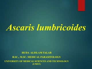 Ascaris lumbricoides
HUDA ALISLAM TALAB
B.SC., M.SC. MEDICAL PARASITOLOGY
UNIVERSITY OF MEDICAL SCIENCES AND TECHNOLOGY
(UMST)
 