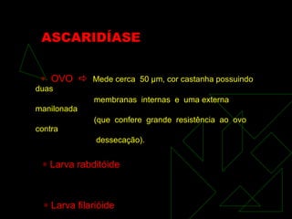 ASCARIDÍASE    OVO     Mede cerca  50  μ m, cor castanha possuindo duas membranas  internas  e  uma externa manilonada (que  confere  grande  resistência  ao  ovo  contra dessecação).    Larva rabditóide    Larva filarióide  