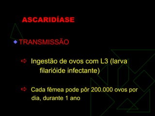 ASCARIDÍASE TRANSMISSÃO    Ingestão de ovos com L3 (larva filarióide infectante)    Cada fêmea pode pôr 200.000 ovos por dia, durante 1 ano 