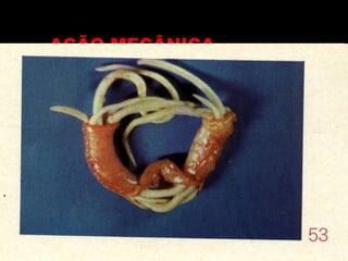 AÇÃO MECÂNICA 