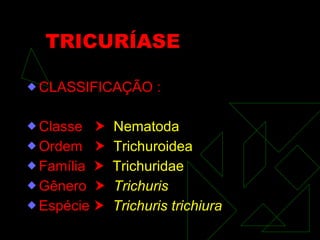 TRICURÍASE CLASSIFICAÇÃO : Classe     Nematoda Ordem     Trichuroidea   Família     Trichuridae Gênero     Trichuris Espécie     Trichuris trichiura 