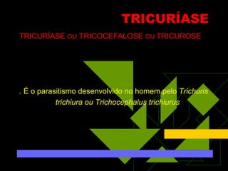 TRICURÍASE TRICURÍASE  OU  TRICOCEFALOSE  OU  TRICUROSE .  É o parasitismo desenvolvido no homem pelo  Trichuris trichiura ou Trichocephalus trichiurus 