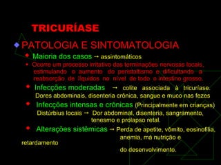 TRICURÍASE PATOLOGIA E SINTOMATOLOGIA    Maioria dos casos     assintomáticos    Ocorre um processo irritativo das terminações nervosas locais,  estimulando  o  aumento  do  peristaltismo  e  dificultando  a reabsorção  de  líquidos  no  nível  de todo  o intestino grosso.     Infecções moderadas     colite  associada  à  tricuríase. Dores abdominais, disenteria crônica, sangue e muco nas fezes    Infecções intensas e crônicas  (Principalmente em crianças) Distúrbius locais     Dor abdominal, disenteria, sangramento,  tenesmo e prolapso retal.    Alterações sistêmicas     Perda de apetite, vômito, eosinofilia, anemia, má nutrição e retardamento do desenvolvimento. 