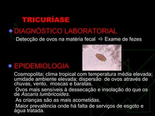 TRICURÍASE DIAGNÓSTICO LABORATORIAL Detecção de ovos na matéria fecal    Exame de fezes EPIDEMIOLOGIA Cosmopolita; clima tropical com temperatura média elevada; umidade ambiente elevada; dispersão  de ovos através de chuvas, vento,  moscas e baratas. Ovos mais sensíveis à dessecação e insolação do que os de  Ascaris lumbricoides . As crianças são as mais acometidas.  Maior prevalência onde há falta de serviços de esgoto e água tratada.  