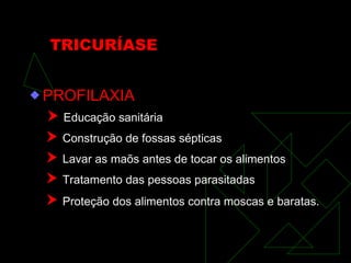 TRICURÍASE PROFILAXIA    Educação sanitária    Construção de fossas sépticas    Lavar as maõs antes de tocar os alimentos    Tratamento das pessoas parasitadas    Proteção dos alimentos contra moscas e baratas.   