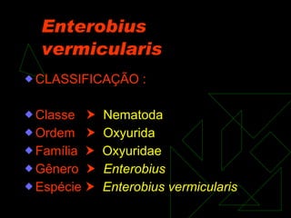 Enterobius vermicularis CLASSIFICAÇÃO : Classe     Nematoda Ordem     Oxyurida Família     Oxyuridae Gênero     Enterobius Espécie     Enterobius vermicularis   