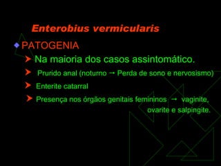 Enterobius vermicularis PATOGENIA     Na maioria dos casos assintomático.    Prurido anal (noturno    Perda de sono e nervosismo)    Enterite catarral    Presença nos órgãos genitais femininos     vaginite, ovarite e salpingite. 