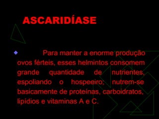 ASCARIDÍASE Para manter a enorme produção  ovos férteis, esses helmintos consomem grande  quantidade  de  nutrientes,  espoliando  o  hospeeiro;  nutrem-se basicamente de proteínas, carboidratos, lipídios e vitaminas A e C. 
