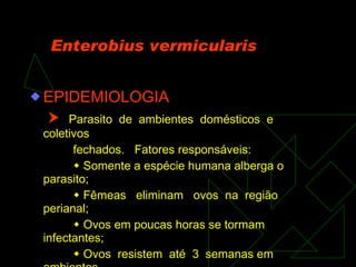Enterobius vermicularis EPIDEMIOLOGIA    Parasito  de  ambientes  domésticos  e  coletivos  fechados.  Fatores responsáveis:    Somente a espécie humana alberga o parasito;    Fêmeas  eliminam  ovos  na  região  perianal;    Ovos em poucas horas se tormam  infectantes;    Ovos  resistem  até  3  semanas em ambientes domésticos;    Hábito de se sacudir roupas de cama.  