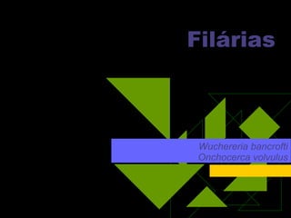 Filárias Wuchereria bancrofti Onchocerca volvulus 
