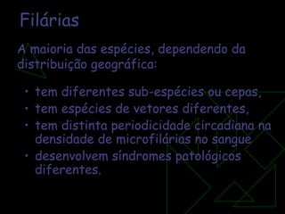 Filárias tem diferentes sub-espécies ou cepas,  tem espécies de vetores diferentes, tem distinta periodicidade circadiana na densidade de microfilárias no sangue desenvolvem síndromes patológicos diferentes. A maioria das espécies, dependendo da  distribuição geográfica: 