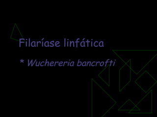 Filaríase linfática Wuchereria bancrofti 