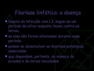 filaríase linfática:   a doença Depois da infecção com L3, segue-se um período de ativa resposta imune contra as larvas, se elas não forem eliminadas durante esse período, podem se desenvolver as diversas patologias associadas  que dependem, portanto, do número de picadas e de larvas inoculadas 
