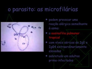 o parasito: as microfilárias podem provocar uma reação alérgica semelhante à asma:  a  eosinofilia pulmonar tropical com níveis séricos de IgE e IgG4 extraordinariamente elevados sobretudo em adultos primo-infectados  