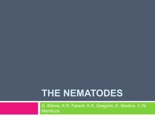 THE NEMATODES
G. Biteno, K.R. Feranil, K.K. Gregorio, K. Medina, C.W.
Mendoza
 