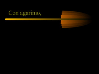 Con agarimo,  