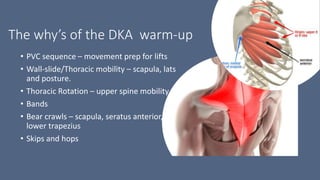 The why’s of the DKA warm-up
• PVC sequence – movement prep for lifts
• Wall-slide/Thoracic mobility – scapula, lats
and posture.
• Thoracic Rotation – upper spine mobility
• Bands
• Bear crawls – scapula, seratus anterior,
lower trapezius
• Skips and hops
 