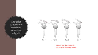 Shoulder
variability –
overhead
exercises
4 types
Type 2 and 3 account for
30- 60% of shoulder issues
 