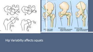 Hip Variabilty affects squats
 