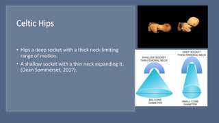 Celtic Hips
• Hips a deep socket with a thick neck limiting
range of motion.
• A shallow socket with a thin neck expanding it.
(Dean Sommerset, 2017).
 
