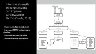 Intensive strength
training sessions
can improve
cardiovascular
factors (Steele, 2012)
• Improved lactate metabolism
• Increased AMPK (mitochnodria
stimulus)
• Improved aerobic glycolisis
• Increased motor recruitment
 