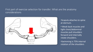 First part of exercise selection for transfer: What are the anatomy
considerations
•Scapula attaches to spine
at sternum.
• Weak back muscles and
tight chest/abdominal
muscles pull shoulders
forward and internally
rotate shoulders.
•Swimming is 75% internal
rotation of the shoulders
 