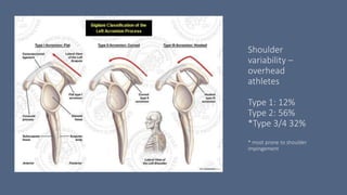 Shoulder
variability –
overhead
athletes
Type 1: 12%
Type 2: 56%
*Type 3/4 32%
* most prone to shoulder
impingement
 