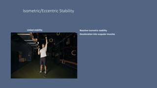 Isometric/Eccentric Stability
Linked stability Reactive isometric stability
Deceleration into scapular muscles
 
