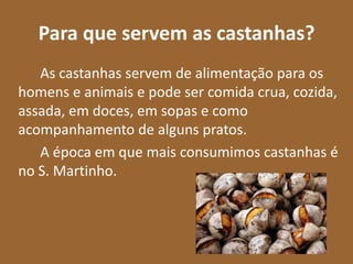 Para que servem as castanhas?
   As castanhas servem de alimentação para os
homens e animais e pode ser comida crua, cozida,
assada, em doces, em sopas e como
acompanhamento de alguns pratos.
   A época em que mais consumimos castanhas é
no S. Martinho.
 