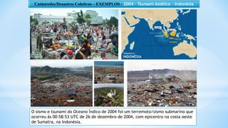 As Catástrofes e os Desastres Coletivos_Apresentação