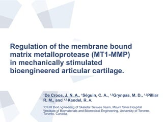 Regulation of the membrane bound matrix metalloprotease (MT1-MMP) in mechanically stimulated bioengineered articular cartilage.   1 CIHR BioEngineering of Skeletal Tissues Team, Mount Sinai Hospital 2 Institute of Biomaterials and Biomedical Engineering, University of Toronto, Toronto, Canada. 1 De Croos, J. N. A. ,  1 S é guin, C. A.,  1,2 Grynpas, M. D.,  1,2 Pilliar R. M., and  1,2, Kandel, R.  A. 