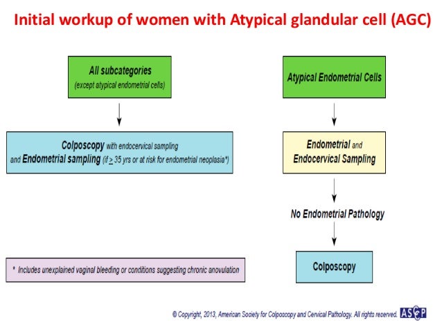 Asccp management guidelines august 2014 ppt. Dr. Sharda Jain /Dr Jyo…