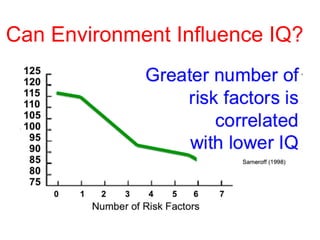 Can Environment Influence IQ?
 