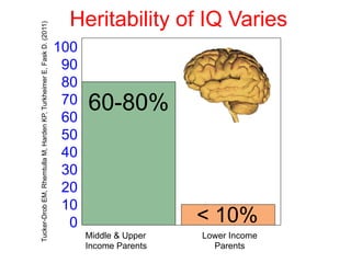 Heritability of IQ Varies
Middle & Upper
Income Parents
Lower Income
Parents
60-80%
< 10%
100
90
80
70
60
50
40
30
20
10
0
Tucker-DrobEM,RhemtullaM,HardenKP,TurkheimerE,FaskD.(2011)
 