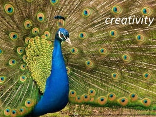 creativity




http://www.flickr.com/photos/ecstaticist/2392037612/in/photostream/
 