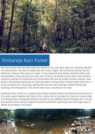The rain forest was the first thing we visited in our trip right after our landing. Despite
the exhaustion, the lack of sleep and the 9-hour flight, we insisted on going and we
hiked for 3 hours. This place is a gem. It has mesmerizing views, colossal trees, and
the weirdest creatures you can ever see. In fact, it is home to over 50% of Sri Lanka’s
endemic species of mammals and butterflies. We saw all kinds of birds, insects, and
plants. The guides explained all what we need to know about these small creatures. It
even rained on our way back; seeing the rain fall and hearing it while hiking was
uplifting and therapeutic. The forest was truly a journey on its own.
Sinharaja Rain Forest is a tropical rain forest located within the Southern provinces of
the south-west lowland wet zone of Sri Lanka and is bounded by rivers on three sides.
It is designated a Biosphere Reserve as well as an UNESCO world heritage site. It is the
last remain of Sri Lanka’s tropical lowland rainforest spanning over the huge area of
18900 acres (about 76.5 km2).
Sinharaja Rain Forest
 