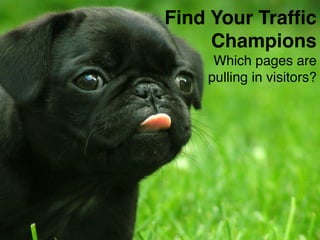 Headline 
Subhead 
Content 
#ASCENDSUMMIT2014 
Find Your Traffic 
Champions! 
Which pages are pulling in visitors? 
 