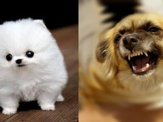 Headline 
Subhead 
Content 
#ASCENDSUMMIT2014 
 