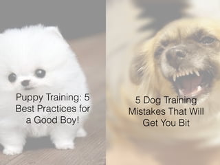 Headline 
Subhead 
Content 
Puppy Training: 5 
Best Practices for 
a Good Boy! 
#ASCENDSUMMIT2014 
5 Dog Training 
Mistakes That Will 
Get You Bit 
 
