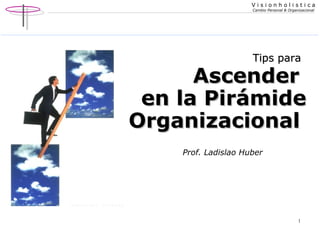 Prof. Ladislao Huber Tips para   Ascender  en la Pirámide Organizacional   