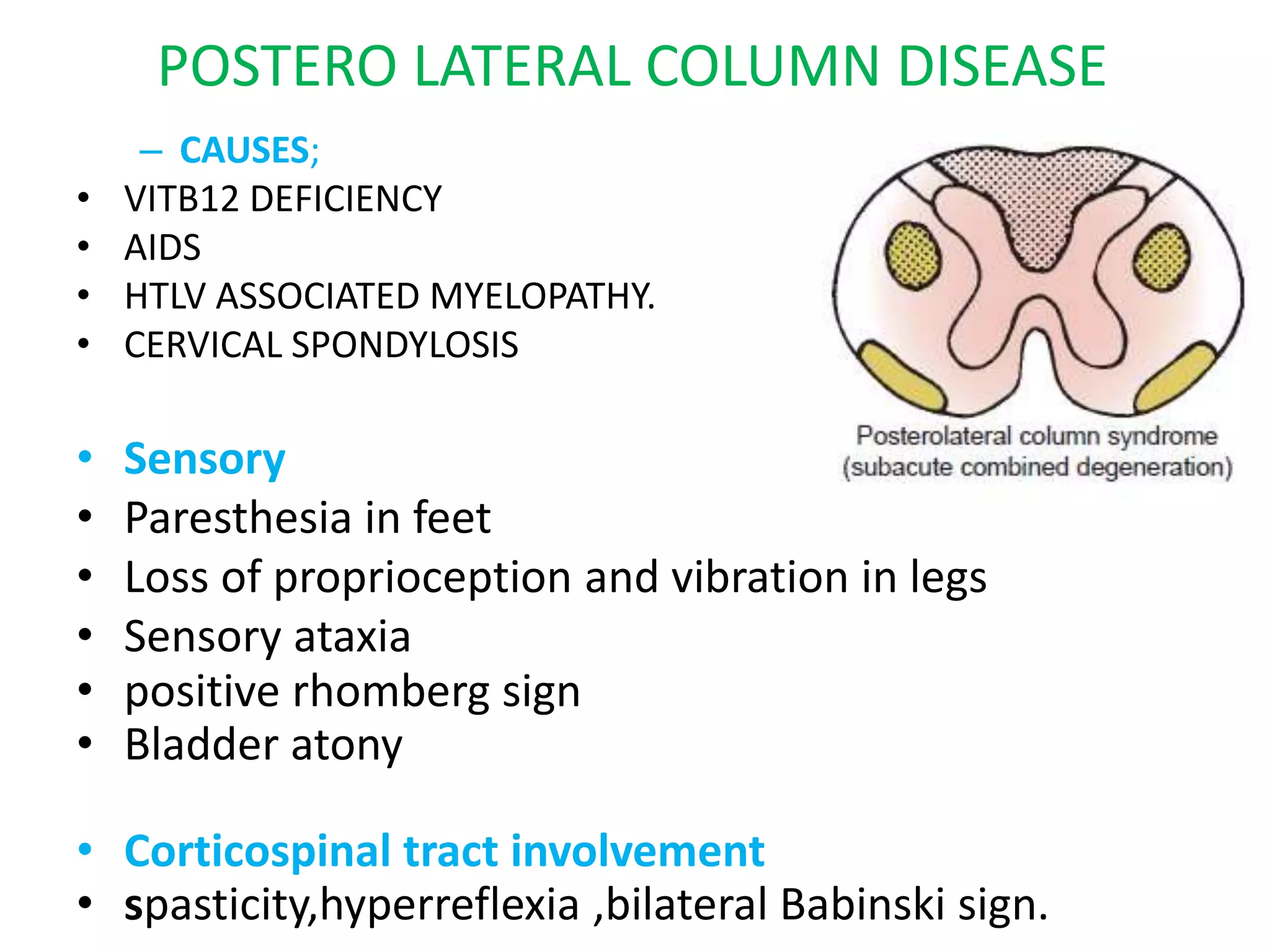 POSTERO LATERAL COLUMN DISEASE
– CAUSES;
• VITB12 DEFICIENCY
• AIDS
• HTLV ASSOCIATED MYELOPATHY.
• CERVICAL SPONDYLOSIS
• Sensory
• Paresthesia in feet
• Loss of proprioception and vibration in legs
• Sensory ataxia
• positive rhomberg sign
• Bladder atony
• Corticospinal tract involvement
• spasticity,hyperreflexia ,bilateral Babinski sign.
 