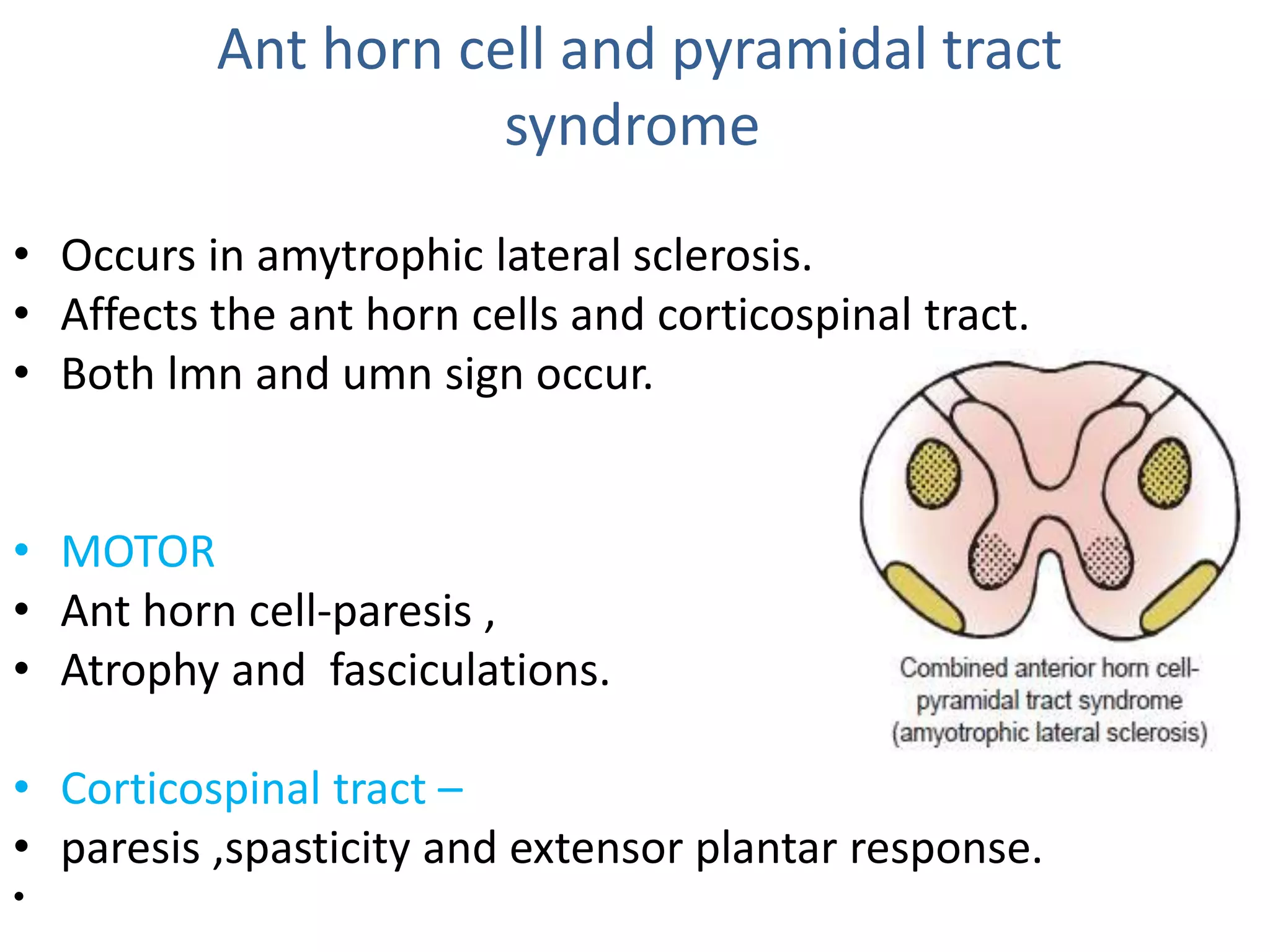 Ant horn cell and pyramidal tract
syndrome
• Occurs in amytrophic lateral sclerosis.
• Affects the ant horn cells and corticospinal tract.
• Both lmn and umn sign occur.
• MOTOR
• Ant horn cell-paresis ,
• Atrophy and fasciculations.
• Corticospinal tract –
• paresis ,spasticity and extensor plantar response.
•
 